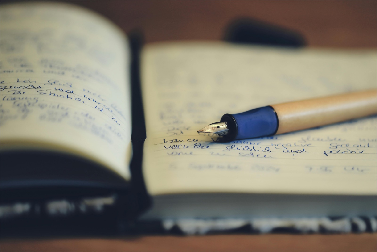 Notițe pentru un discurs — pregătirea textului în programul speechCRAFT